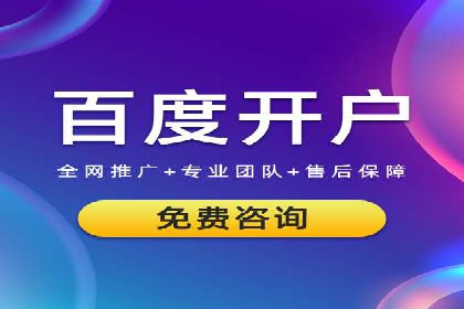 某企业SEM广告投放的ROI提升策略及效果展示